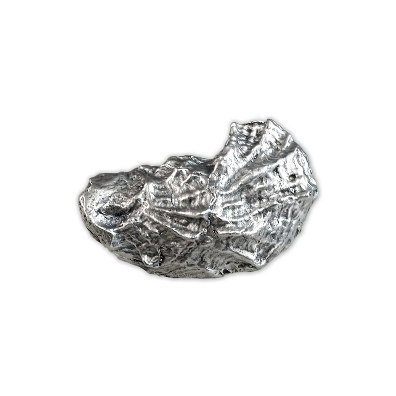 Sterling Silver Oyster Buckle